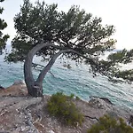 Kemping Mobile Homes Sara - Camping Turanj , Adriatic , Dalmatia Turanj