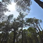 Campsite Mobile Homes Sara - Camping Turanj , Adriatic , Dalmatia